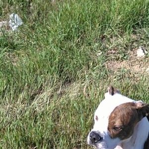 Meet your Posher, Lynn